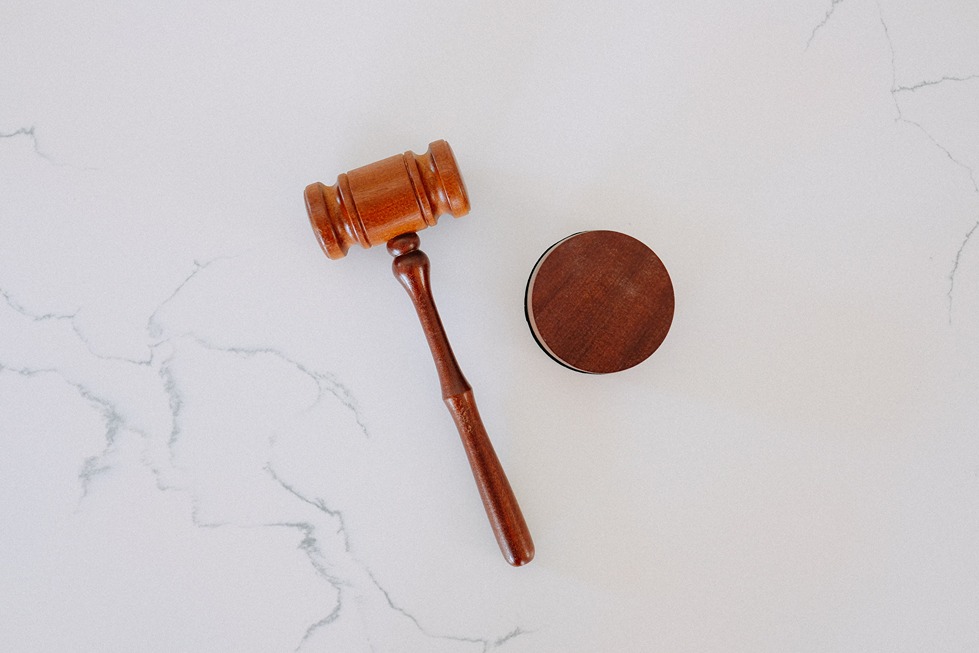 Can You Sue for a Minor Dog Bite in California?