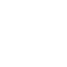 Initial Inquiry